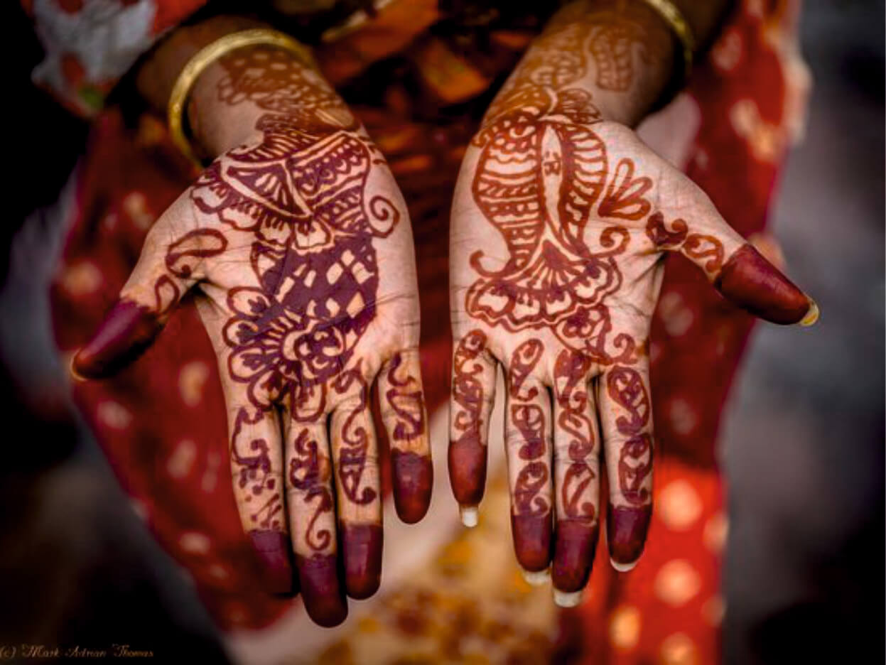 Natural Henna (Mehendi) Powder | BHEESHMA - A unique online shopping site  in India
